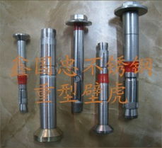 瑞安振武供應(yīng)優(yōu)質(zhì)不銹鋼加長(zhǎng)膨脹螺絲，為建筑材料注入持久穩(wěn)固力量